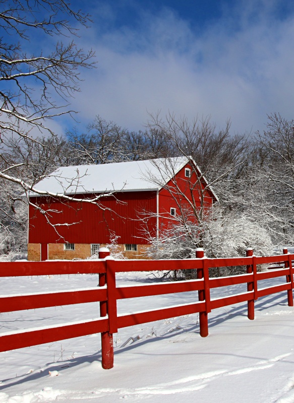 Rural landscape with red barn, wooden red fence and trees covered by fresh snow in sunlight. Scenic winter view at Wisconsin, Midwest USA, Madison area.