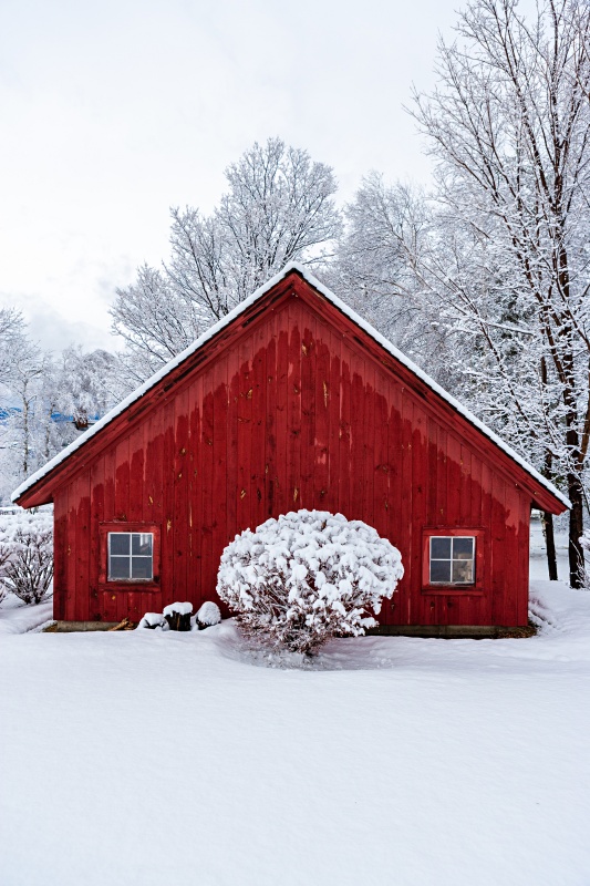 Red barn during winter with snow, Stowe, Vermont, USA
