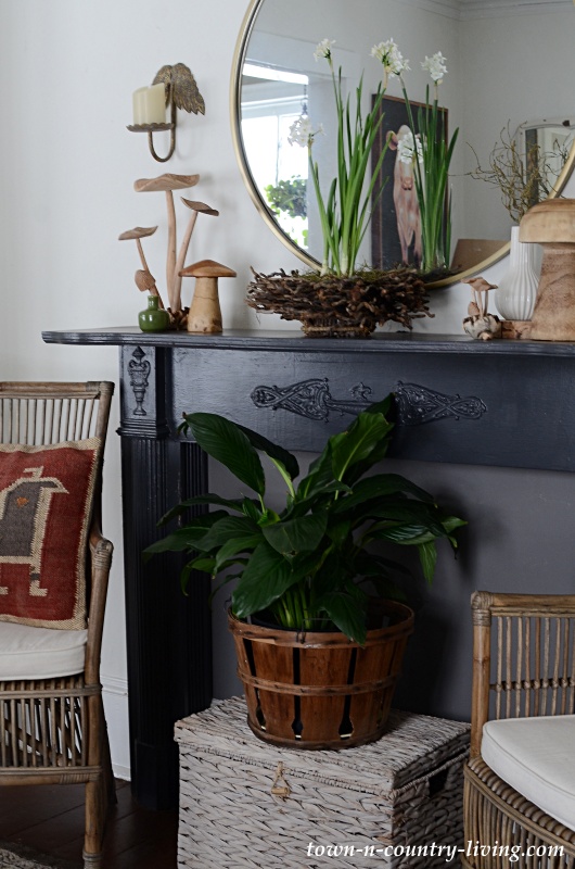 Nature Inspired Spring Mantel in Sitting Room
