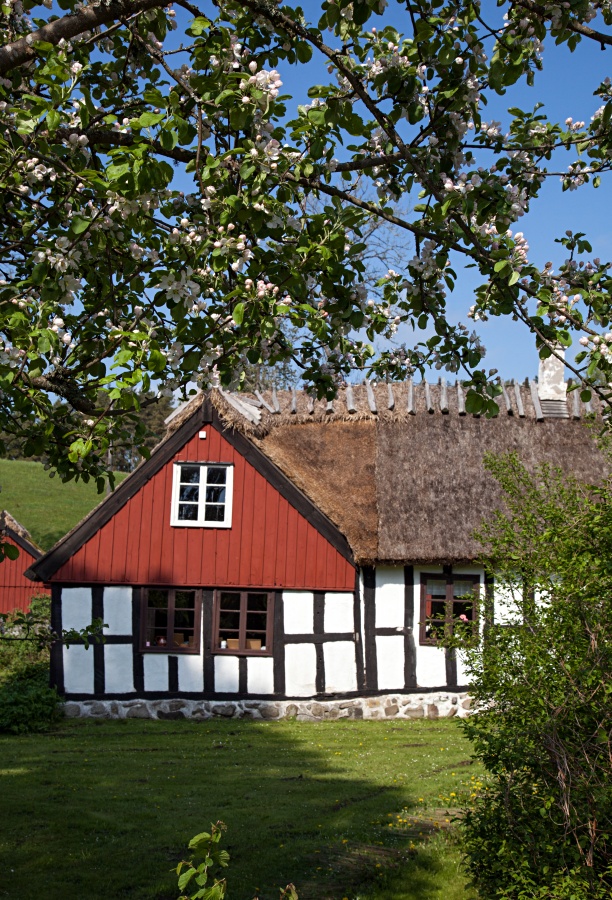 Old cottage.  Very old cottage in Sweden, grass on the roof.