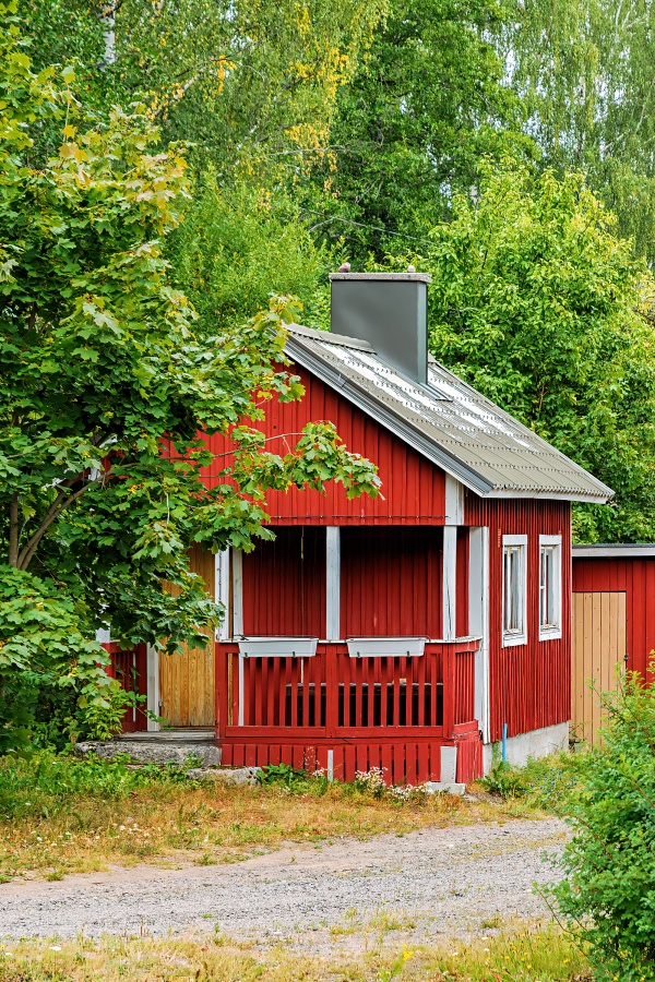 A traditional white and red scandinavian house in the background with a springtime forest scenery on a sunny day.