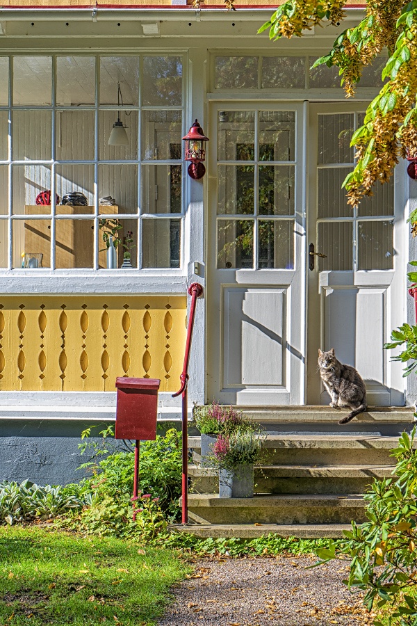 Yellow House - Scandinavian Front Porch