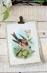 Create a Spring Nature Board with Free Bird Prints - Town &amp; Country Living