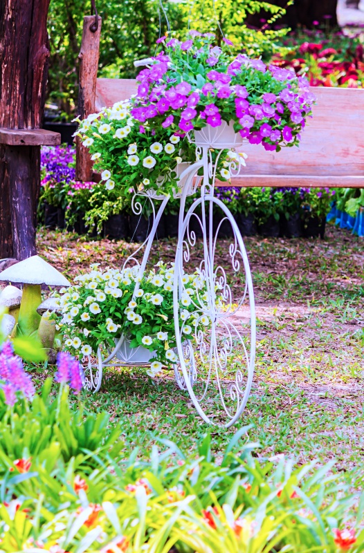 Vintage white bike and flower pot decoration in cozy home flowers garden on summer.