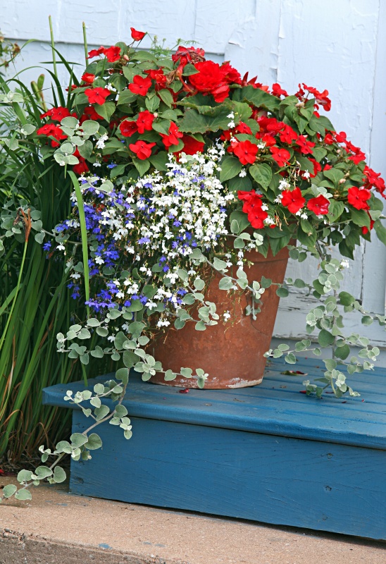 A terracotta garden planter filled with impatiens and lobelia.