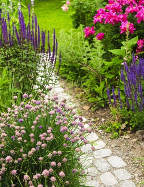 Lush blooming summer garden with paved path