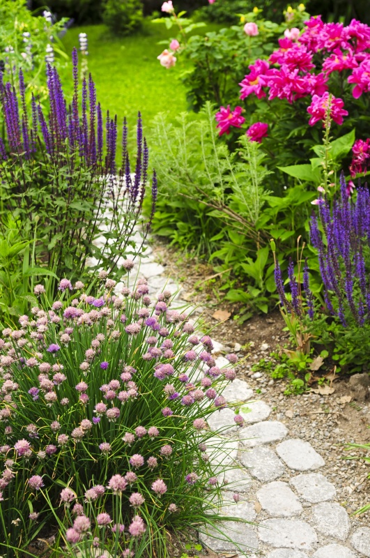 9 Enticing Garden Path Ideas