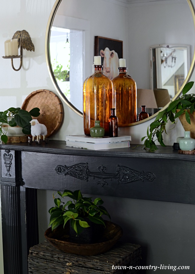Houseplants on a Country Style Dark Gray Mantel