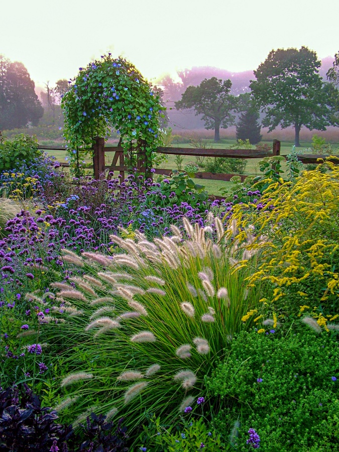 Vertical image of a beautiful country garden in fall with flowers, herbs, shrubs, trees, ornamental grasses, an arbor (arch) covered with 'Heavenly Blue' morning glory, and a fence and gate