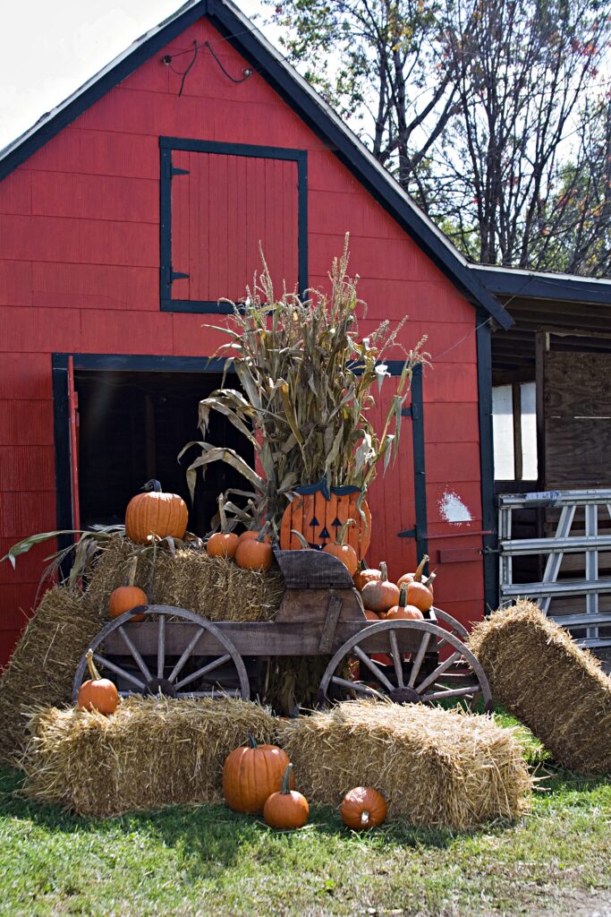 Fall scene with red barn, hay bales, and pumpkins