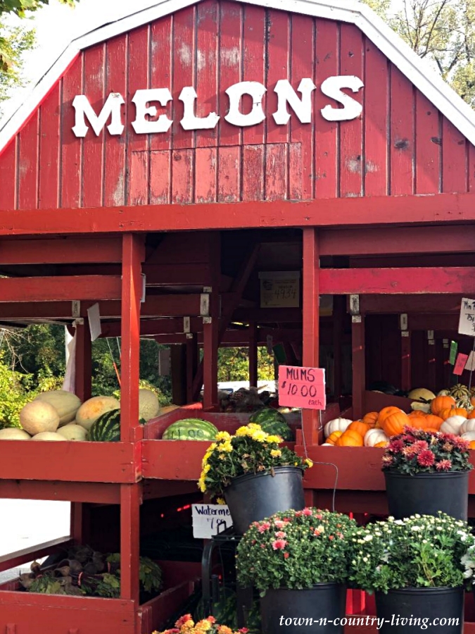 Charming Farm Stand with Fall Produce