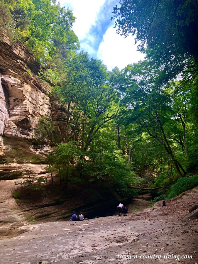 LaSalle Canyon at Starved Rock
