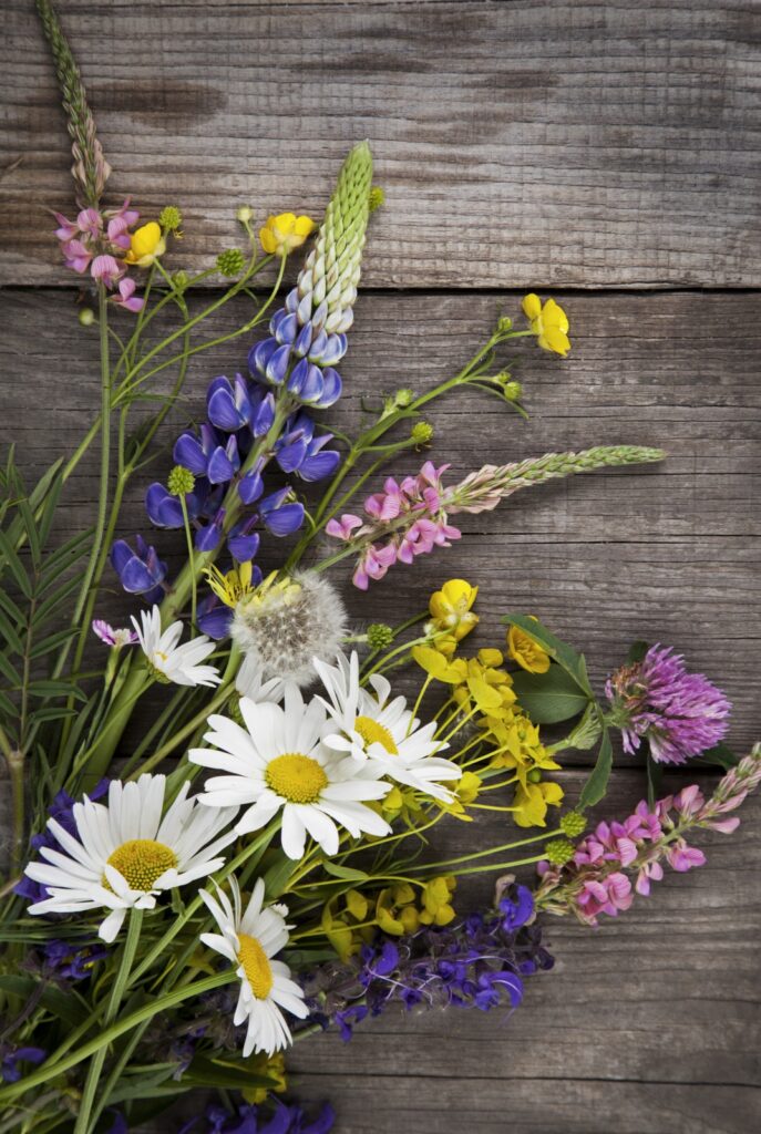 Lupine and Daisies on Rustic Boards
