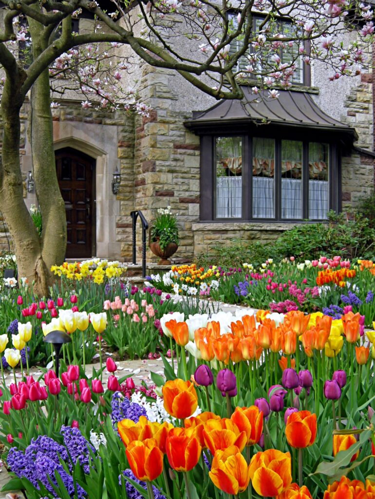 Front Yard Spring Garden in Front of Luxury Home
