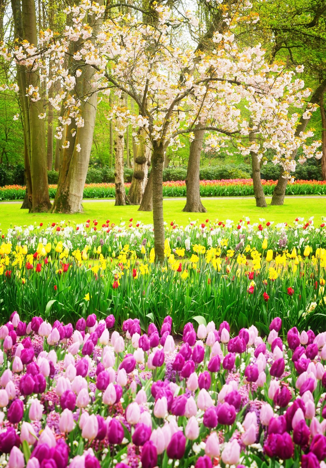 Spring Flowers and Gardens Total Eye Candy   Town & Country Living