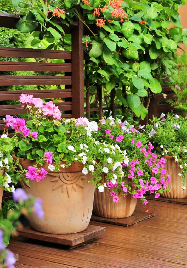 10 Summer Container Flower Garden Ideas