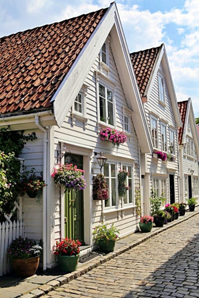 Scandinavian Houses
