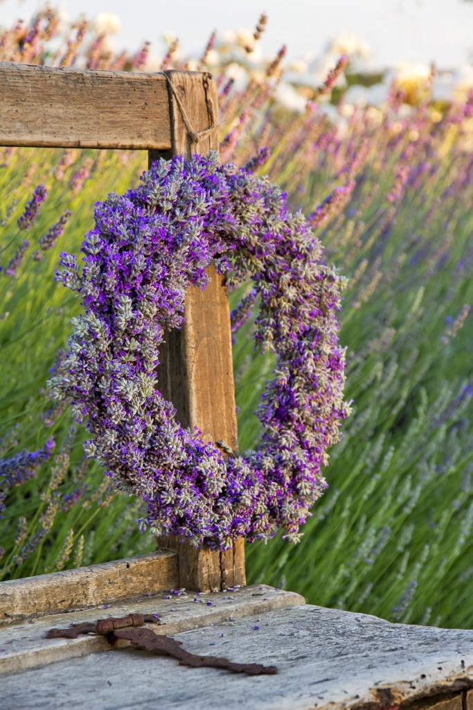 Lavender flower wreath on a wooden old bench in a summer garden