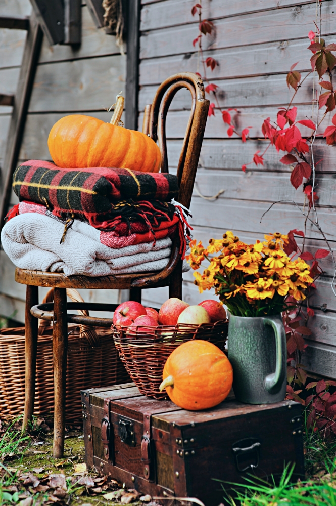 Bentwood chair on porch with plaid blankets, mums, basket of apples, and pumpkins