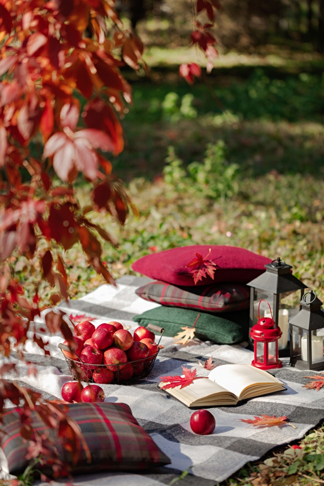 Fall picnic with blanket and pillows