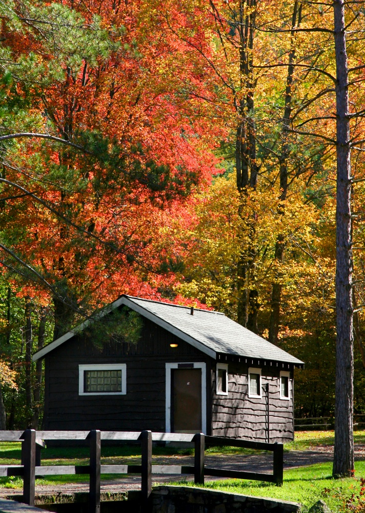 Little Cabin in the Woods during Autumn