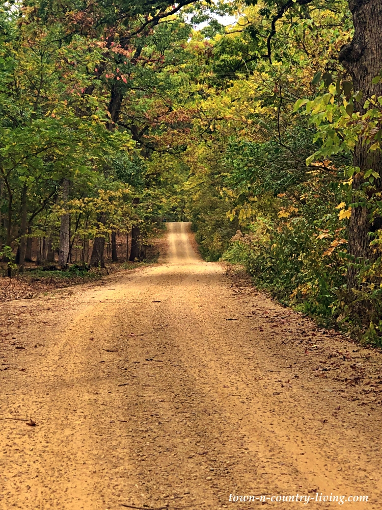 Gravel Country Road through forest leading to the Rock River in Oregon, Illinois