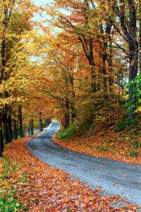 Enjoy a Virtual Leaf Peeping Trip to New England!