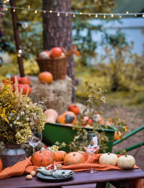 Fall themed outdoor table setting