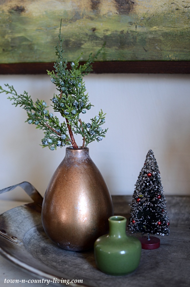 Juniper Evergreen in a Brass Vase at Christmas