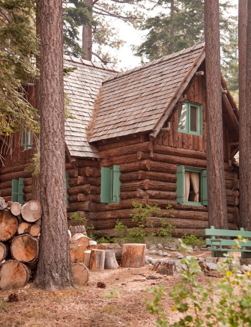 Classic Vintage Log Cabin Amidst the Pine Trees.