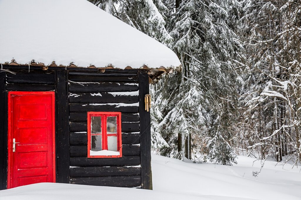 Rustic black log cabin with red front door
