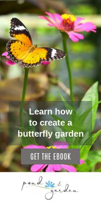 butterfly garden ebook offer