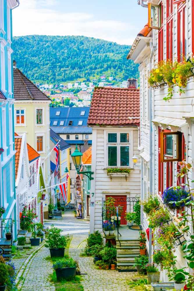 Colorful wooden houses line a cobbled street in Norway
