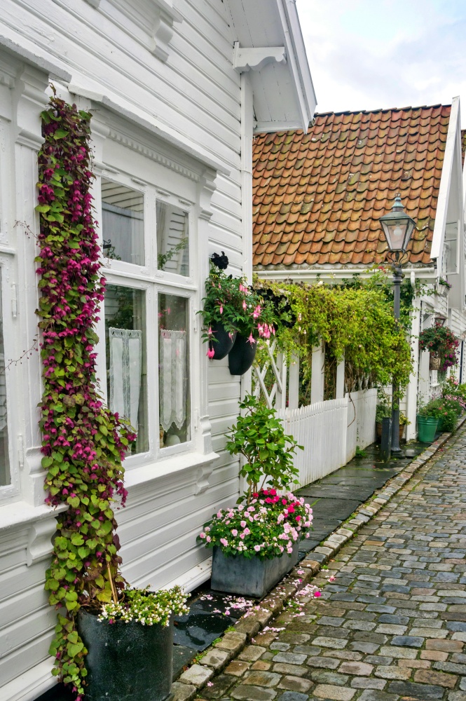 white wooden Norwegian houses on old street