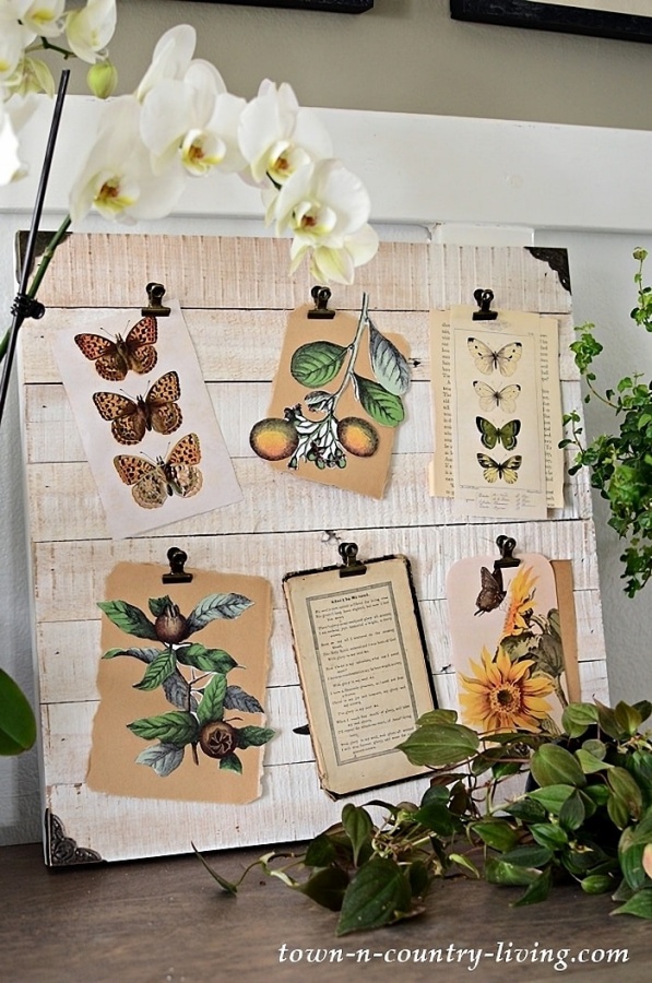 Nature Board by Town and Country Living