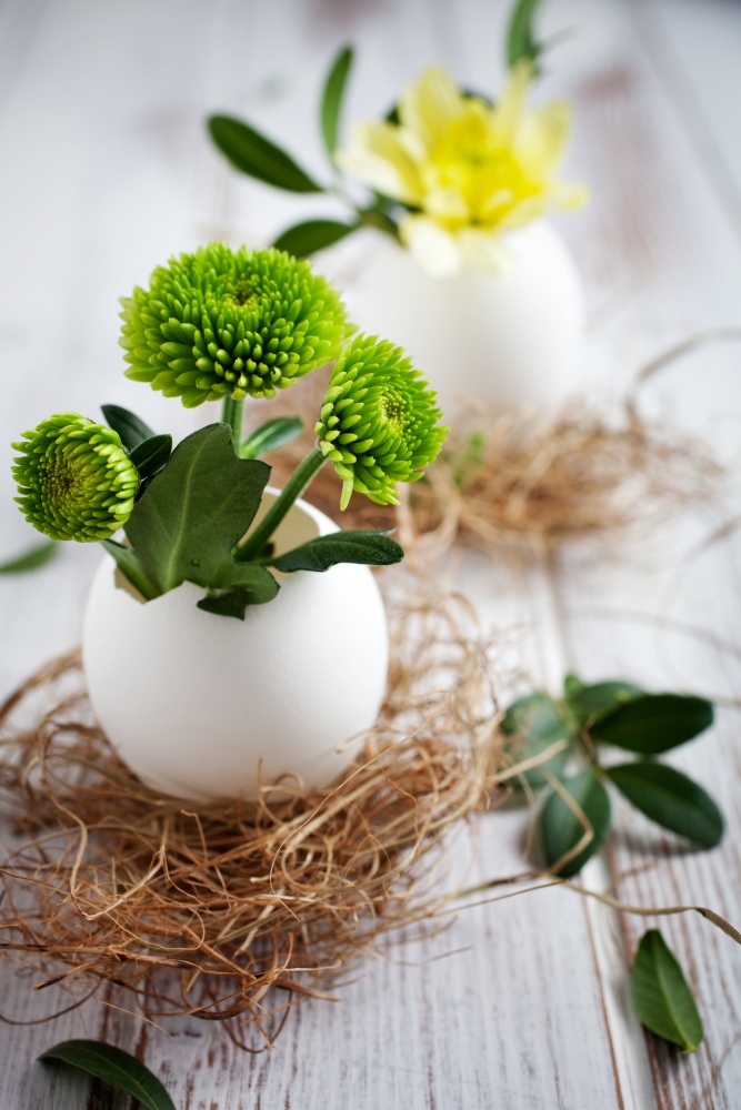 Fresh flowers in egg shells for spring and easter decorating