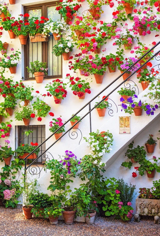 Flower pots on front of houses of Spain - Cordoba
