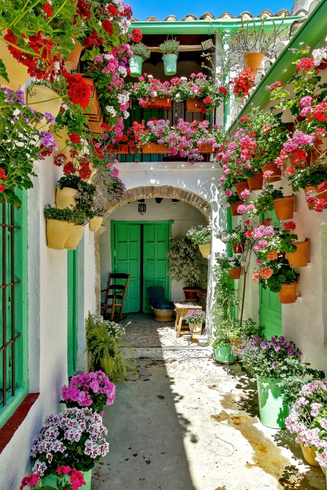 Sunny flower-filled patio in Spain