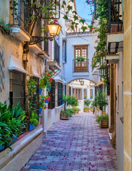 A picturesque and narrow street in Marbella old town