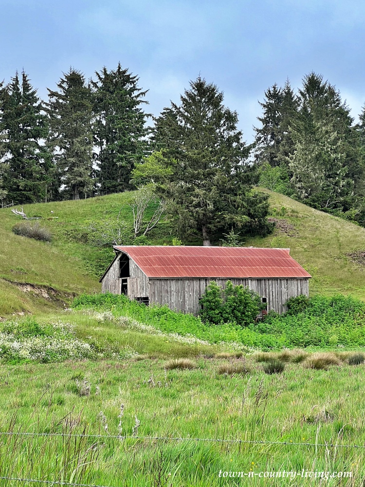 Barn in the California Countryside