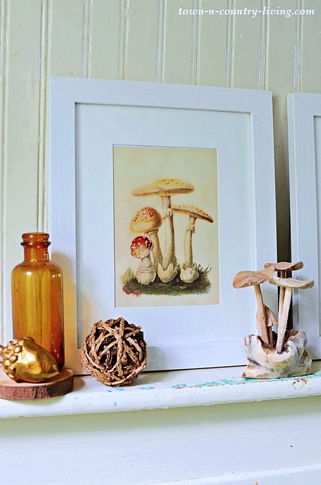 Free mushroom printables to frame