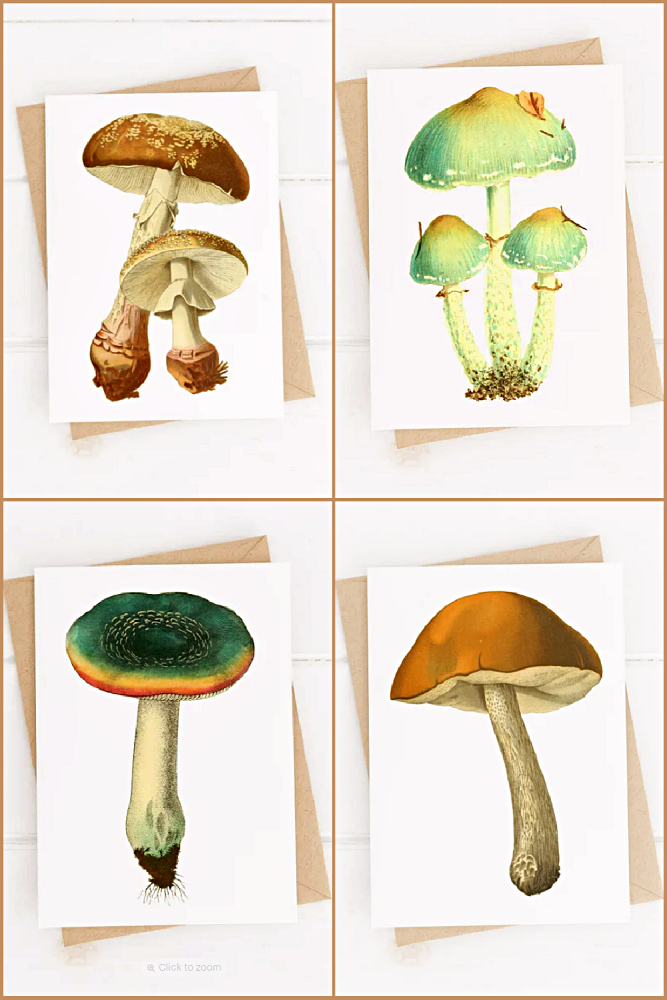 Mushroom greeting cards