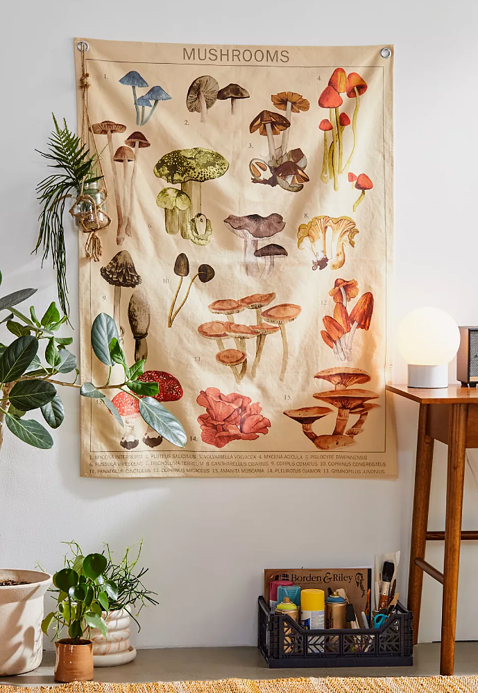 Mushroom tapestry by Urban Outfitters