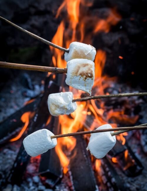 Summer Nighttime Activities - roasting marshmallows