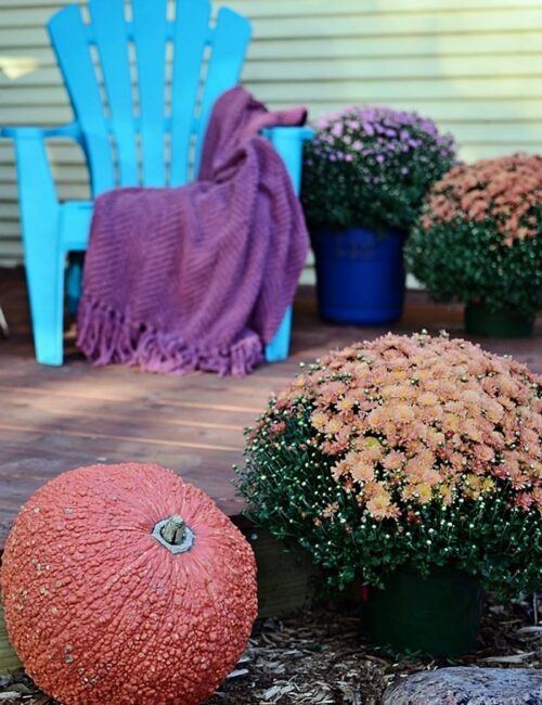 outdoor fall decorations