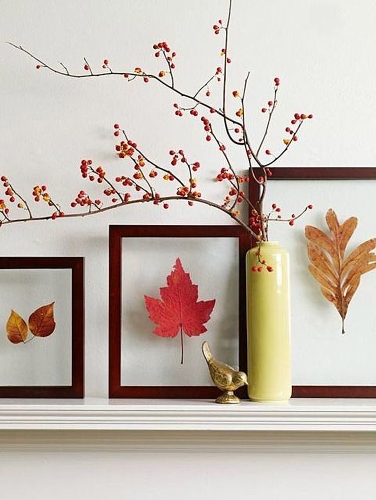Framed fall leaves and berry branch