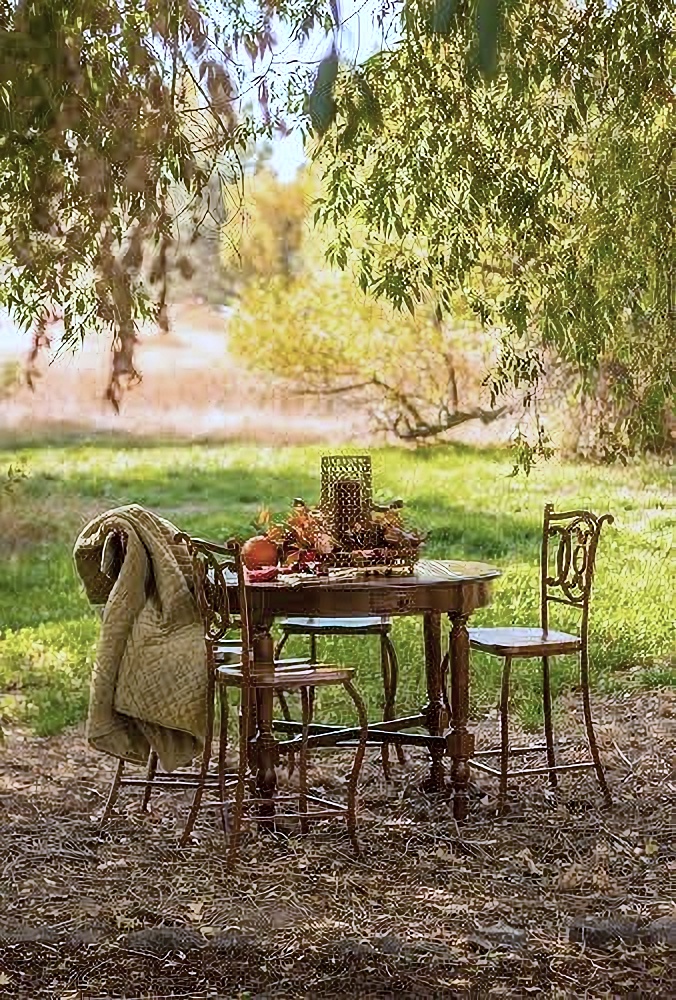 Outdoor dining in autumn