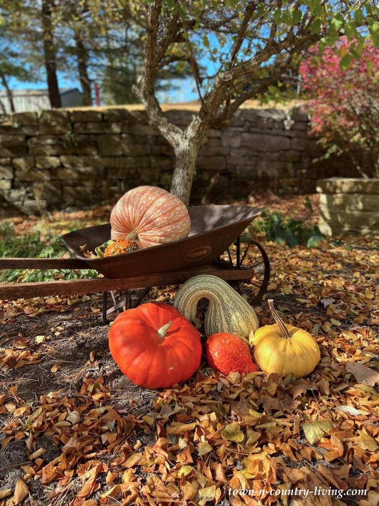 The Autumn Splendor and Magic of Southern Indiana
