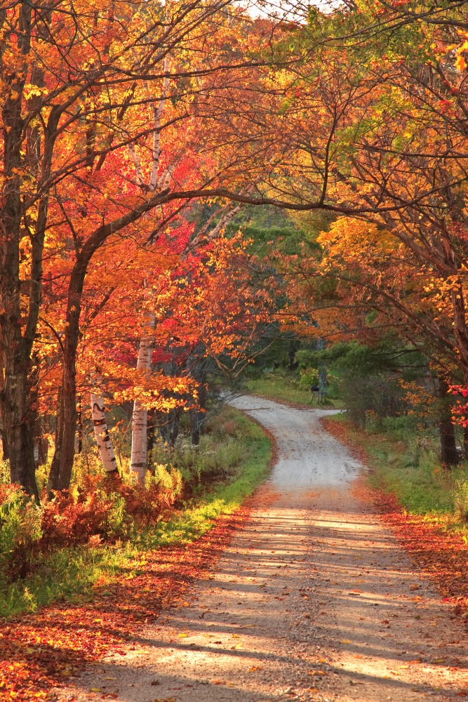 Country road in Vermont with blissful fall colors