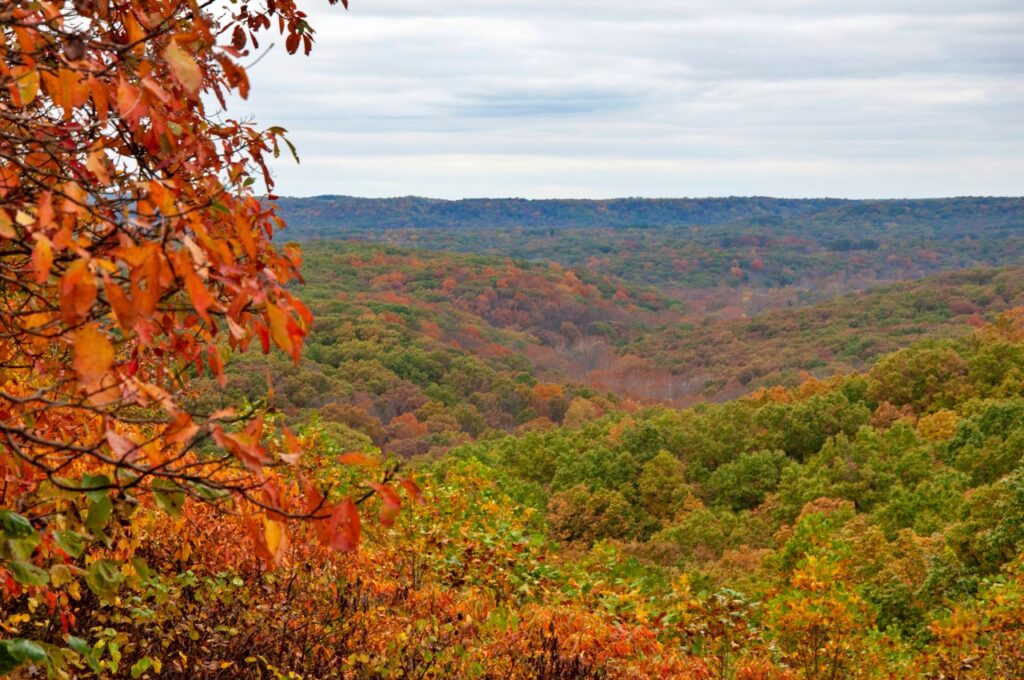 fall leaf peeping in brown county state park, indiana